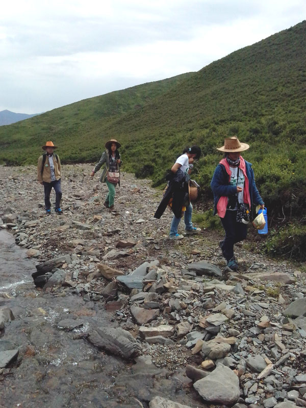 7��22�����m�ݴ�W(xu��)�Gɫ�I�F(tu��n)꠹������c����?q��)����{(di��o)�С�꠆T������(d��ng)?sh��)ص��������f�ֲ����݈���r������ι�B(y��ng)���h(hu��n)��׃���ȷ����M(j��n)���˴��µ��˽����D��꠆T���ڮ�(d��ng)?sh��)��M(j��n)��ֲ����R������