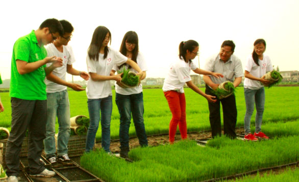 ��ꎎ����W(xu��)Ժ���Gɫ���ۡ���(sh��)�`�(du��)־Ը����ˮ�����g�M(j��n)���w�(y��n)ʽ������