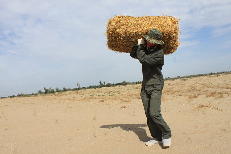 �F�T���i�������ݣ����ϳ����������������؟����