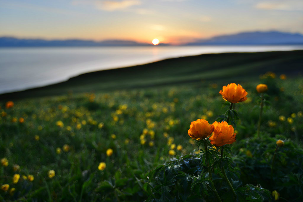 ���(hu��)�����l(xi��ng)�ĸ����