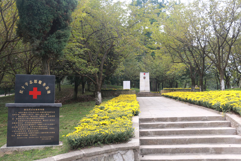 �Ї��tʮ�֕����o��ꠈD���P(gu��n)