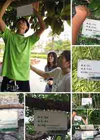 �K���r(n��ng)�W(xu��)Ժ�O(sh��)ӋУ�@ֲ����Ƭ�������K�r(n��ng)�Gɫ���}