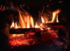 �t��t����~����������ʳ���ρ�