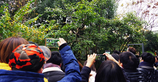 �@�����ӵ������ɶ����W(w��ng)�j���ˁ��cٝ